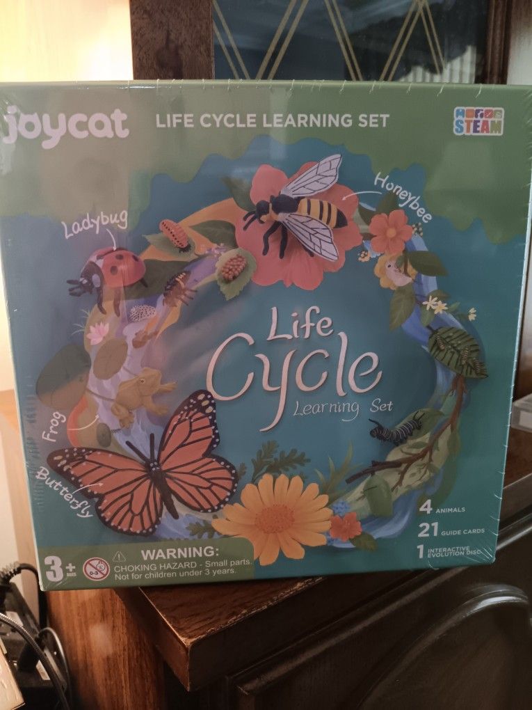Life Cycle Learning Set