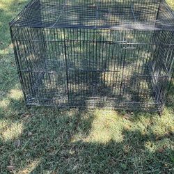 It A Dog cage And A Bird Cage