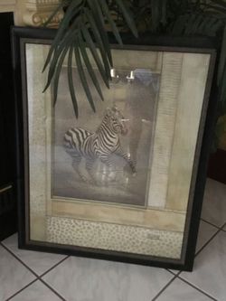 Cuadro Grande de Zebra Mide 32x 25 Usado Poco Tiempo. Precio Firme