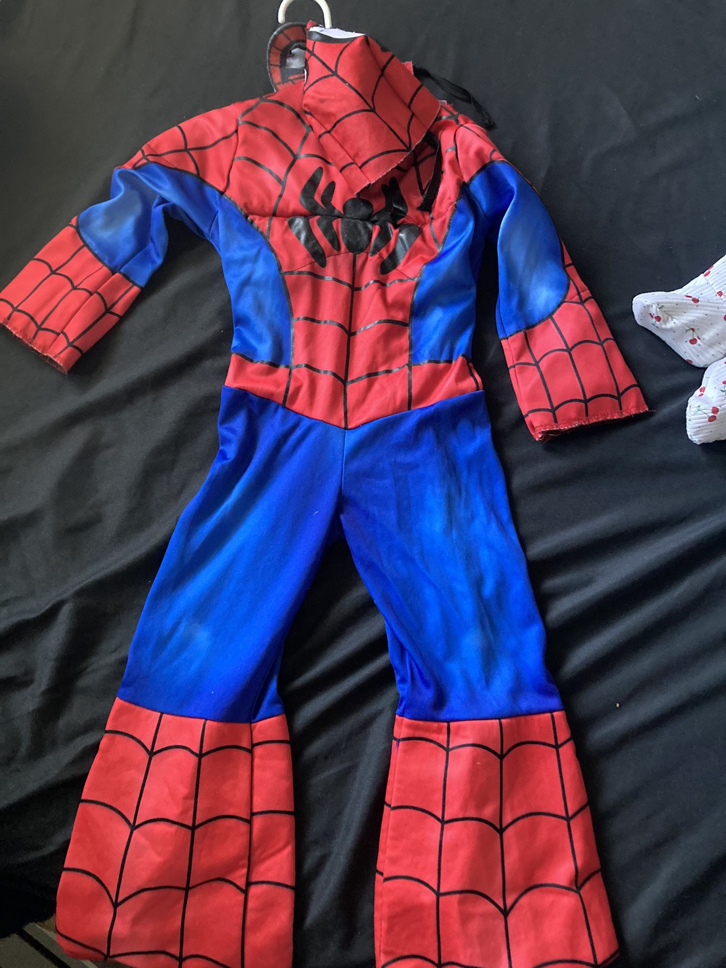 Amazing Spider Man And Friends Costume 