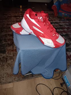 Nike Air Jordan Luka 2 TB Size 12