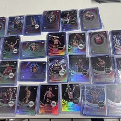 WWE Topps Universe Cards