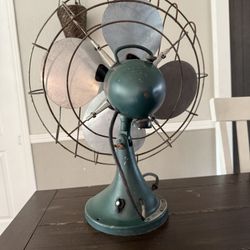 Vintage Hunter Zoo hair Fan