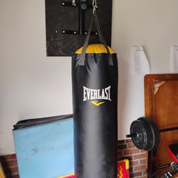Everlast Heavy Punching Bag