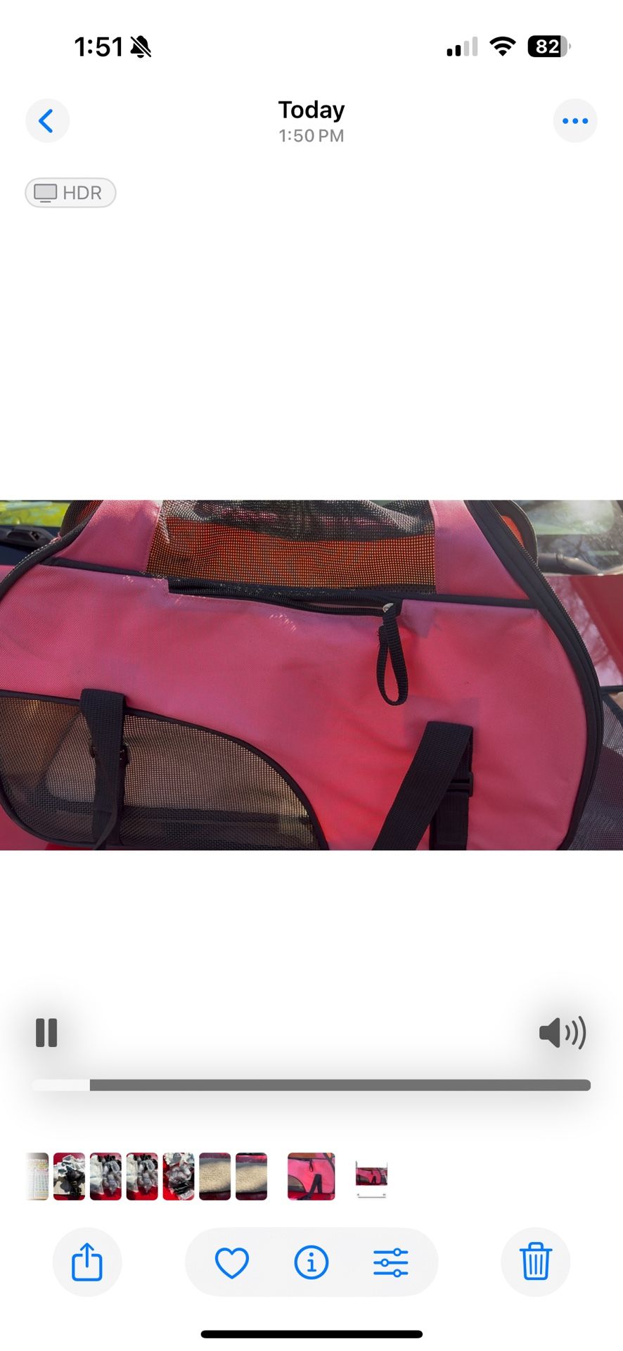 Dog Carrier