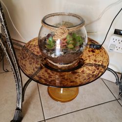 Terrarium Natural