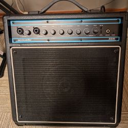 Acoustic Guitar Amplifier W/Effects