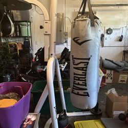 Punching Bag