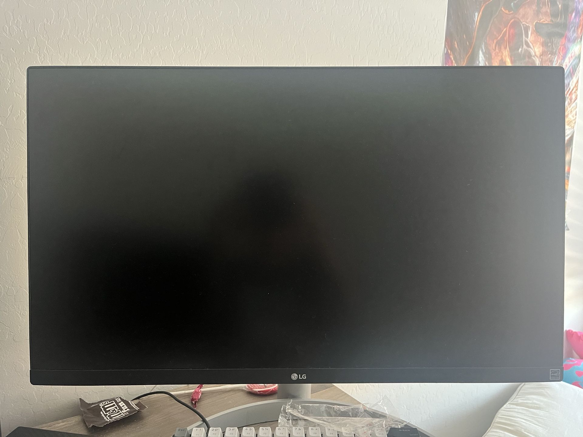 LG 27 inch monitor
