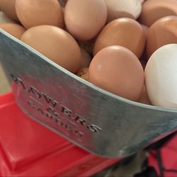 Fresh Farm Eggs -$6 per dozen