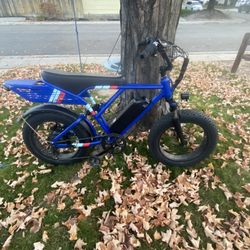 Jasion Retrovolt E-bike 35 Mph