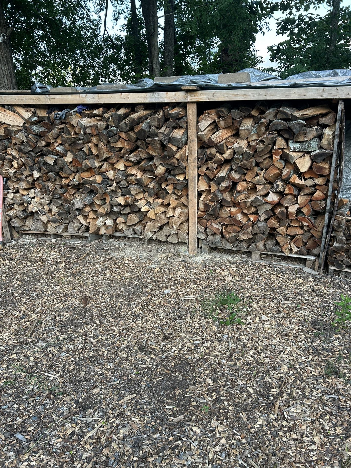 Seasoned Firewood