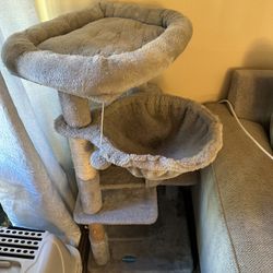 Free Cat Condo 