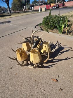 Vintage Antler Chandelier