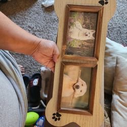 Bone Frame