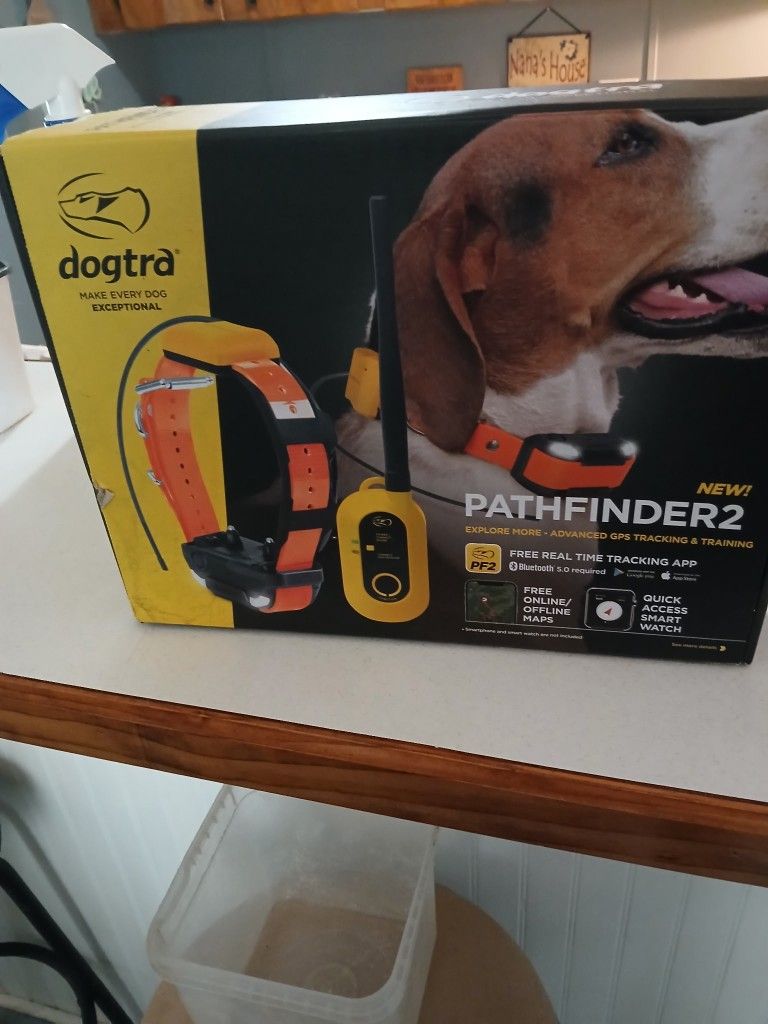 For Dogs