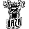 RAZA-GAMING