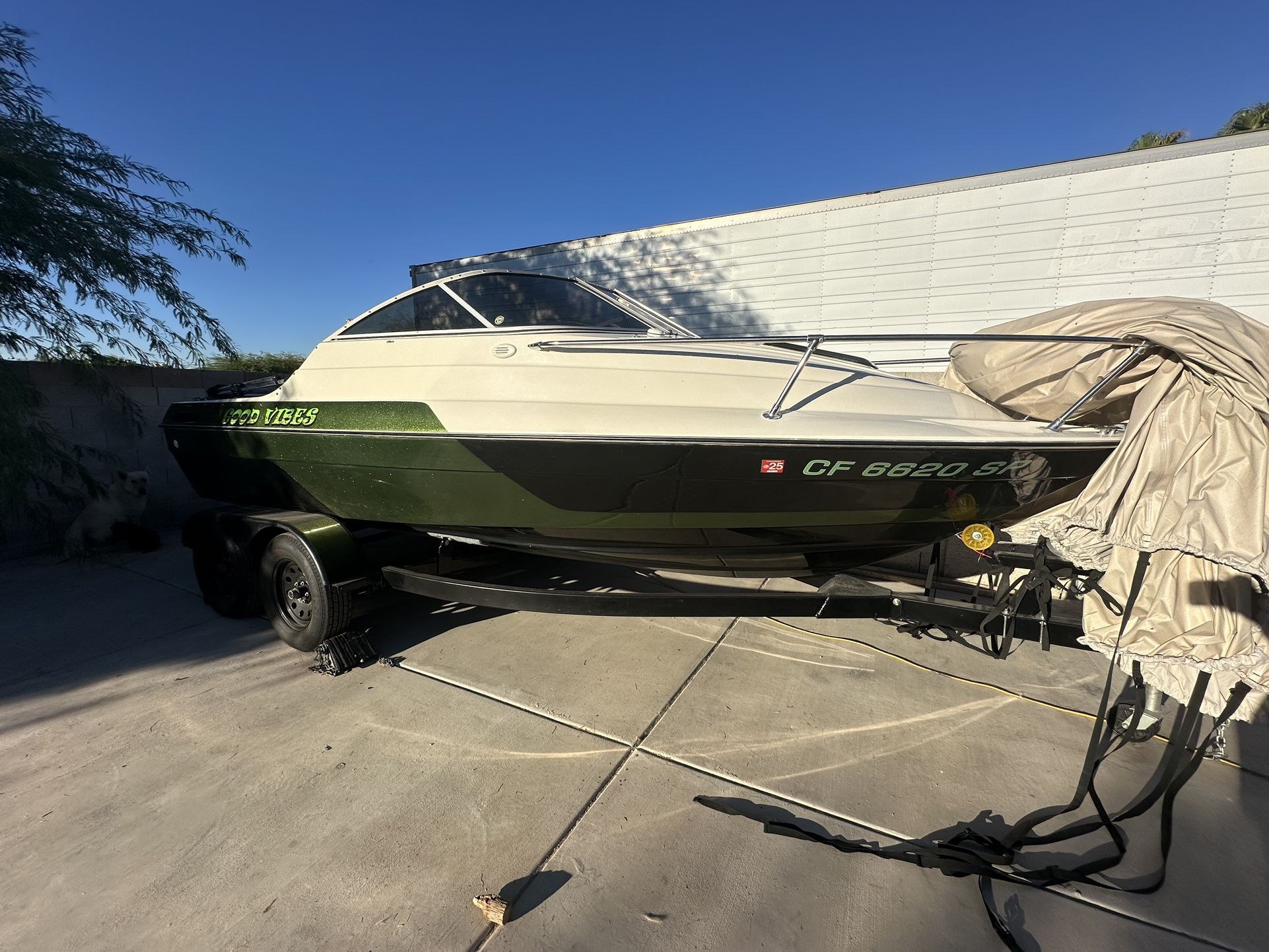 Custom Bayliner Capri