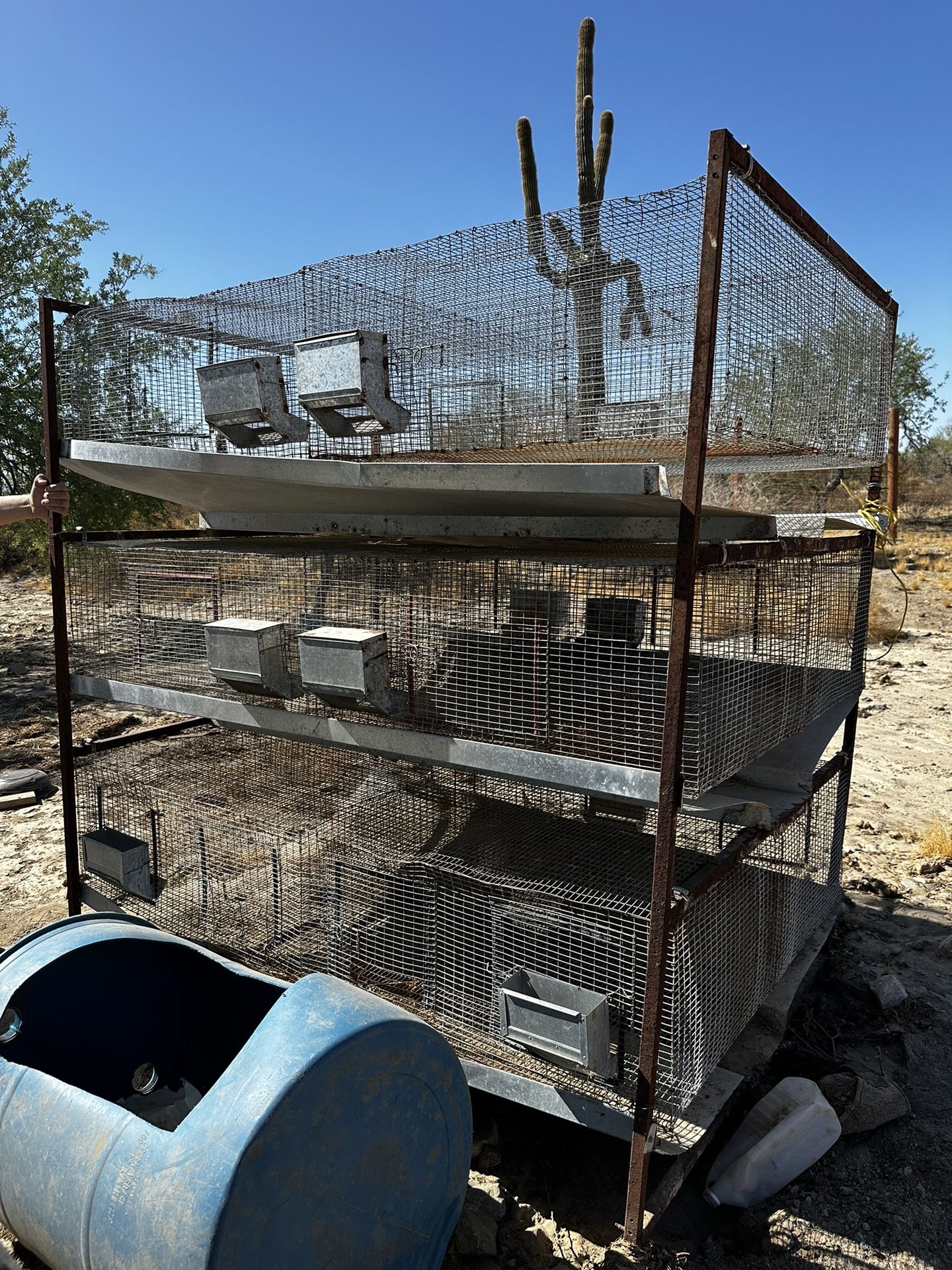 Rabbit Hutch