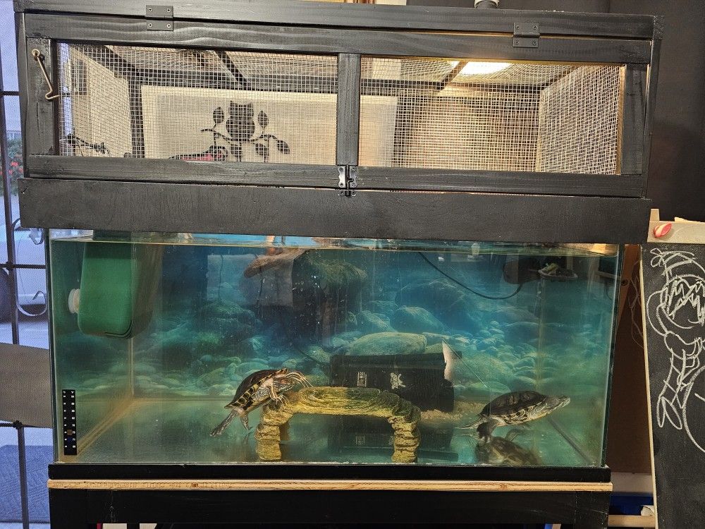 Turtle Tank With Baskin Platform