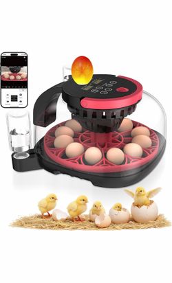 Incubadora de 12 huevos completamente automática con control de aplicación y grabación de video, giro automático de huevos, control de temperatura y h