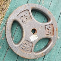 One 25 pound Standard Grip Weight