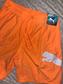 Puma Swim Trunks