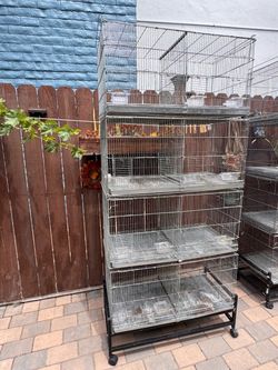 Bird Cage