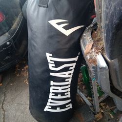 Pro Punching Bag 