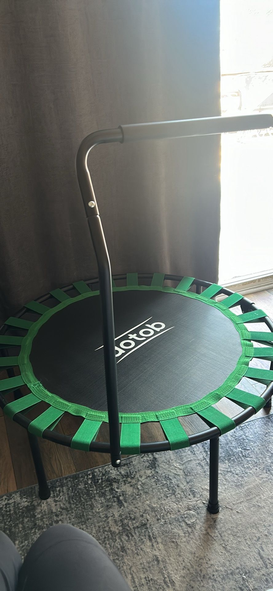 Exercise Trampoline