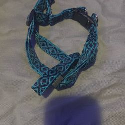 Dog Harness