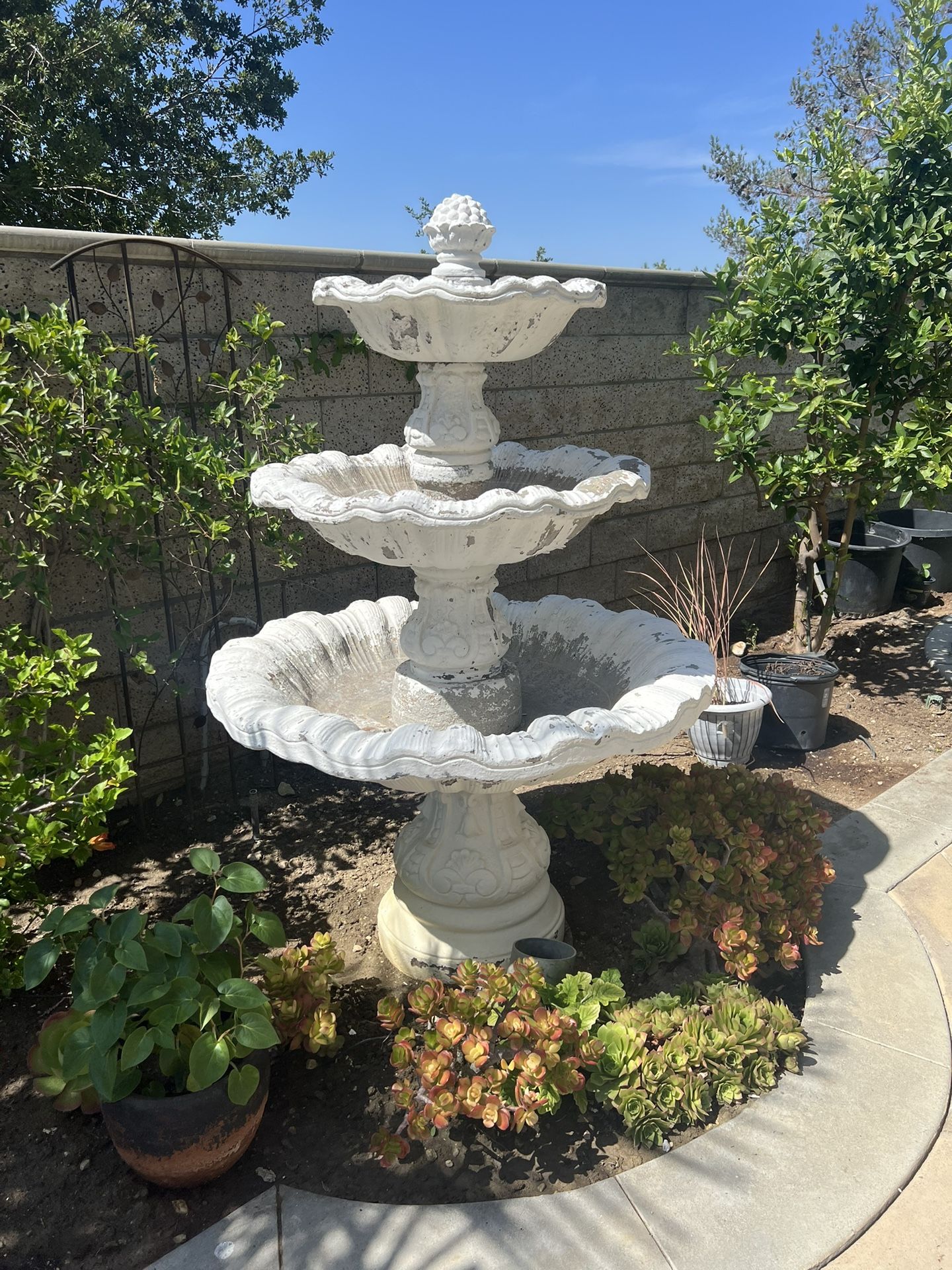 Fountain
