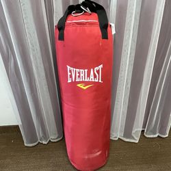 Everlast Heavy Bag. Punching Bag. Free to ask, I reply 