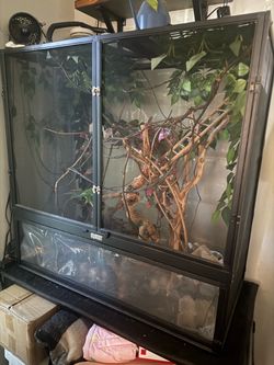 Chameleon reptile cage