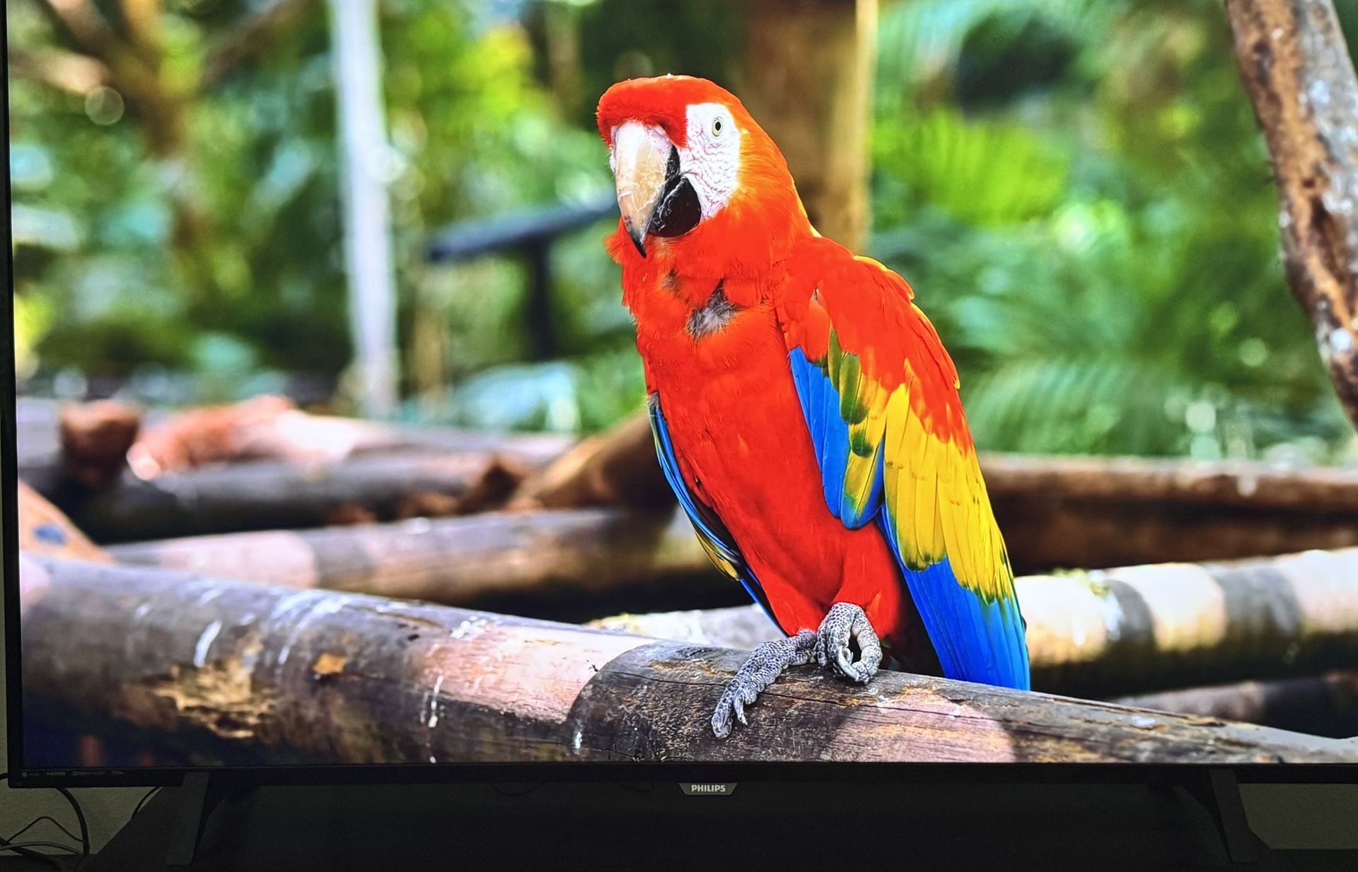 65 Inch SMART 4K Ultra HDTV