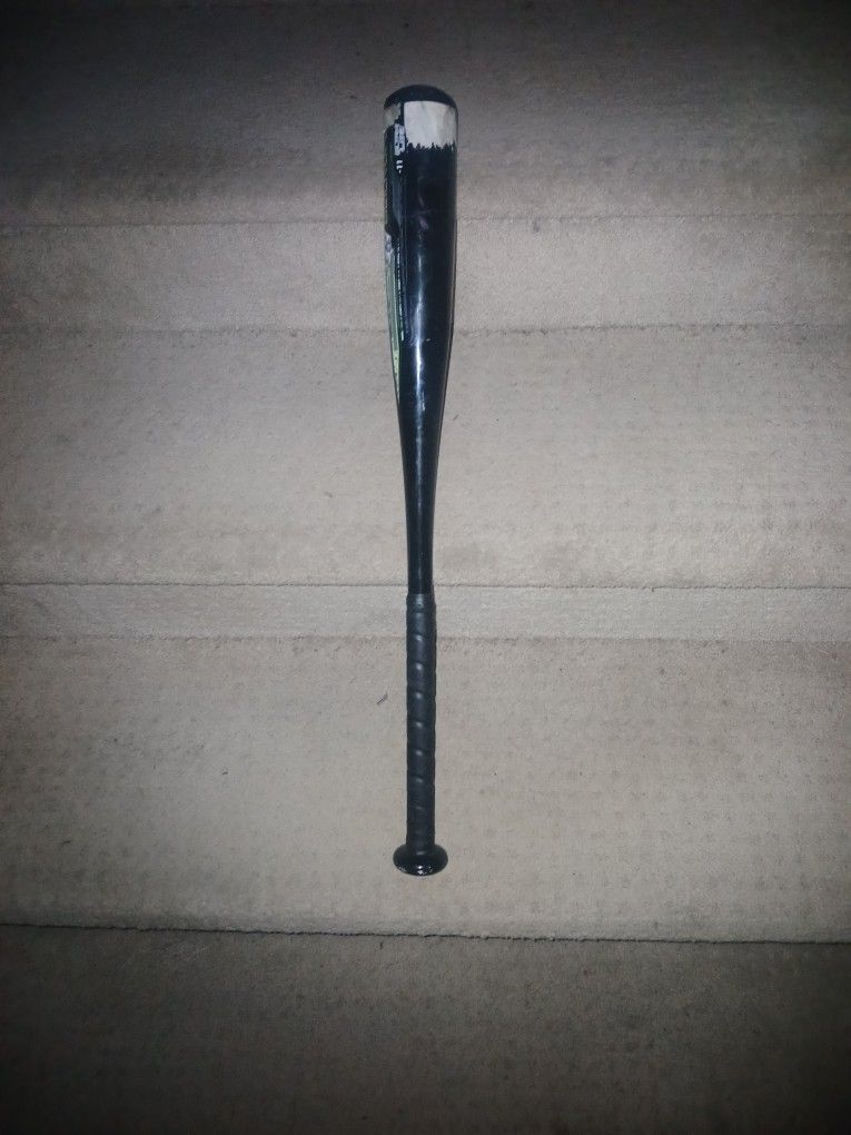 Old Baseball Bat