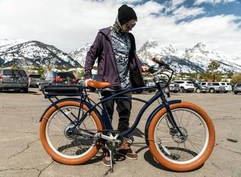 Priority Belt Drive E Bike