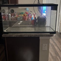 HUGE REPTILE ENCLOSER!