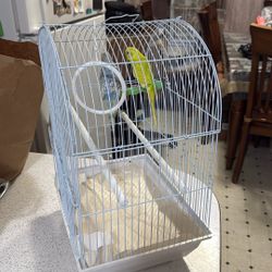 Bird  Cage