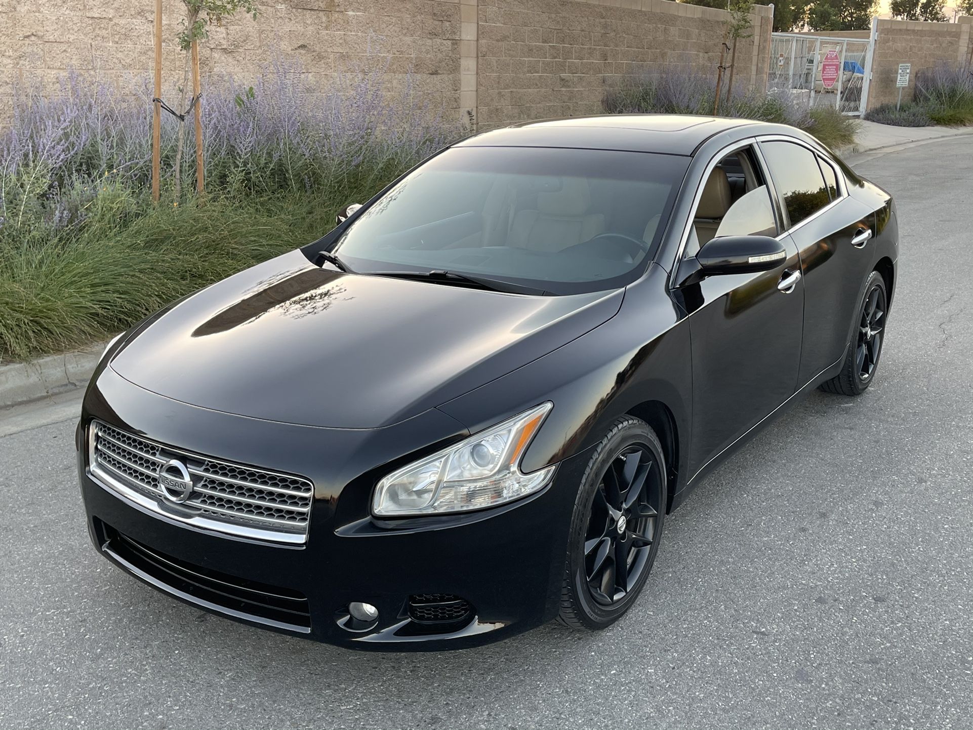 2009 Nissan Maxima