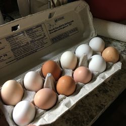 Farm Eggs 