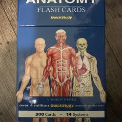 Anatomy Flash Cards $20