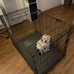 XLarge Dog Crate