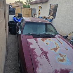 Mustang Notchback