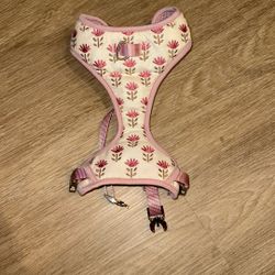 Small Dog Harness