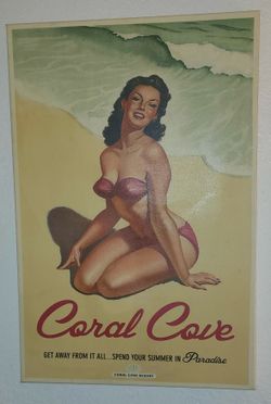 Vintage Style Pin-Up Beach Canvas