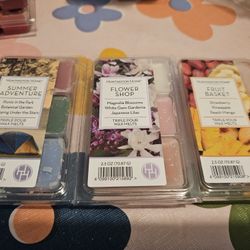 Wax melt lot #1