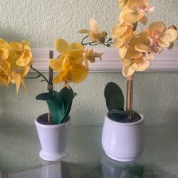 Fake Orchids 