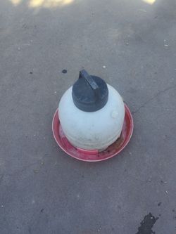 Chicken feeder waterer 3 gallons