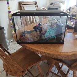 Fish Tank